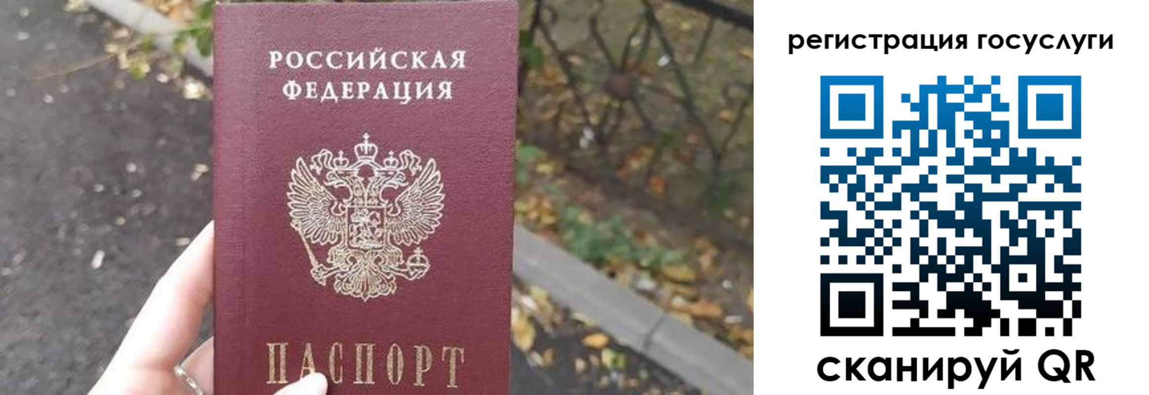 купить прописку в Соколе